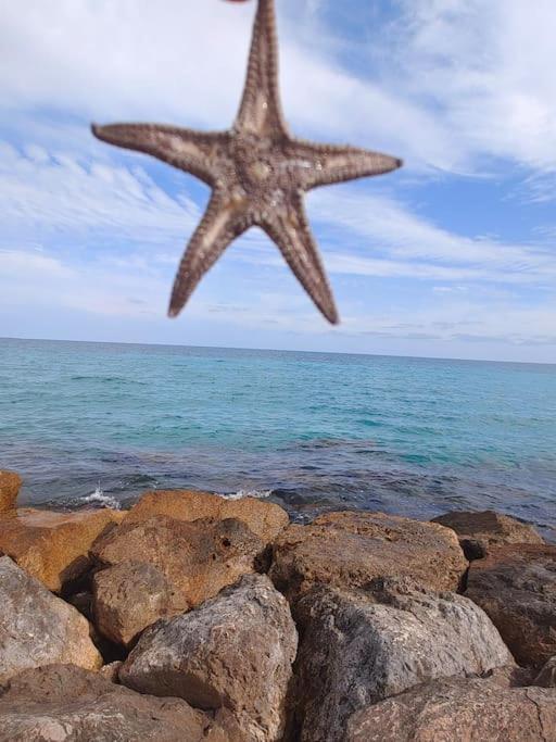 Apartmán La Casa Tranquila Y Limpia Alicante Exteriér fotografie